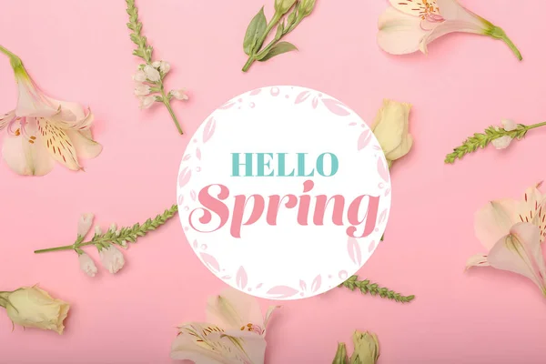 粉色背景上美丽的花朵 文字为Hello Spring — 图库照片