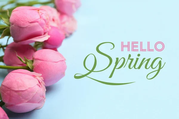 Piękne Piwońskie Róże Tekst Hello Spring Tle Koloru — Zdjęcie stockowe