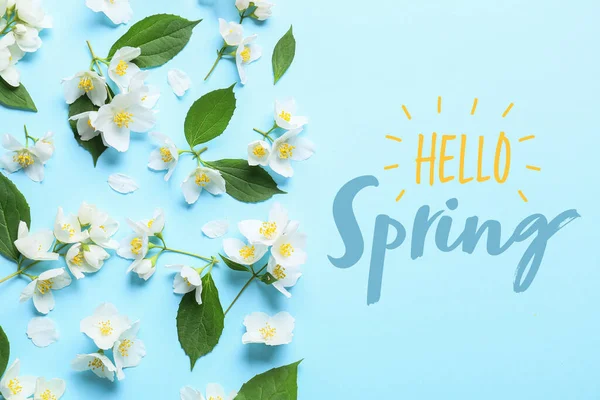 Beautiful Jasmine Flowers Text Hello Spring Color Background — Stock Photo, Image