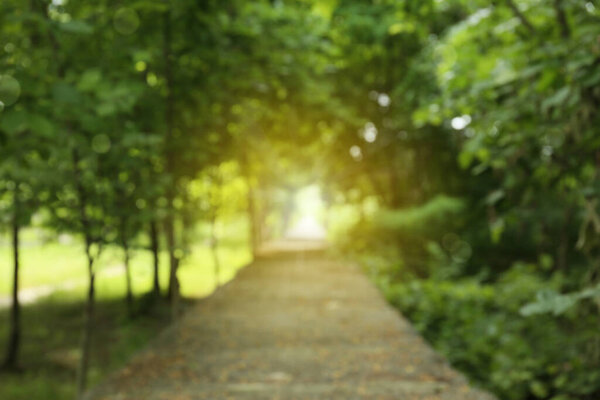 Blurred view of green park on summer day