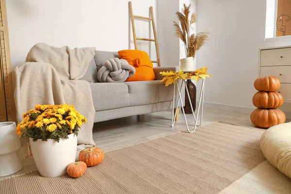 Interior Beautiful Living Room Autumn Decor — Stock Photo, Image
