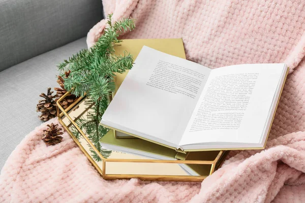 Tray Books Fir Tree Branch Pine Cones Sofa Closeup — Stock Photo, Image