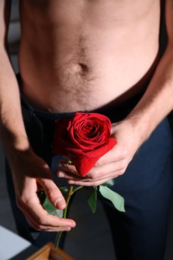 Kırmızı gül tutan genç adam, yakın plan. Erotik kavram