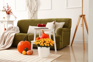 Rahat bir kanepe, balkabağı ve güzel kasımpatı çiçekleri.