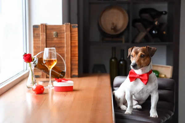 Jack Russel Terrier Bow Tie Restaurant Valentine Day — Stock Photo, Image