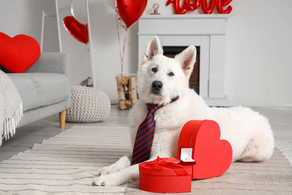 Bílý Pes Dárkovými Krabicemi Zásnubním Prstenem Doma Valentýnská Oslava — Stock fotografie