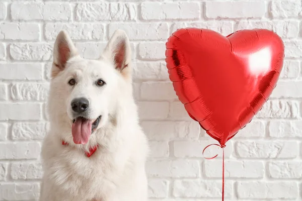 Perro Blanco Con Globo Sobre Fondo Ladrillo Celebración San Valentín — Foto de Stock