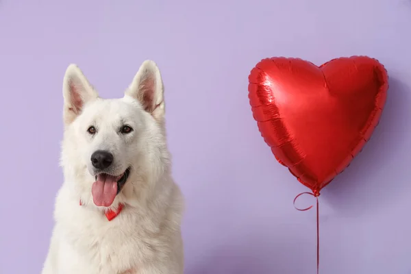 Perro Blanco Con Globo Sobre Fondo Lila Celebración San Valentín — Foto de Stock