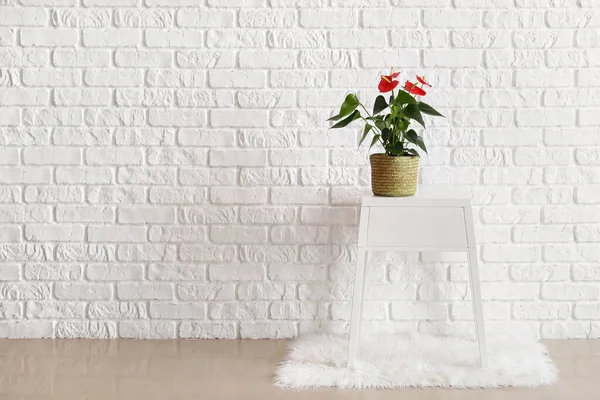 Anthurium Flower Table White Brick Wall — Stock Photo, Image