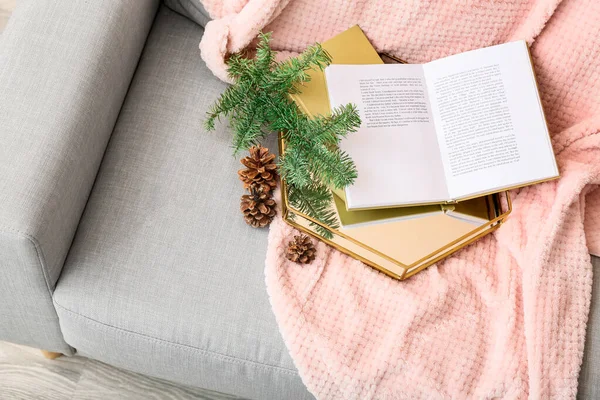 Tray Books Fir Tree Branch Pine Cones Comfortable Sofa — Stock Photo, Image