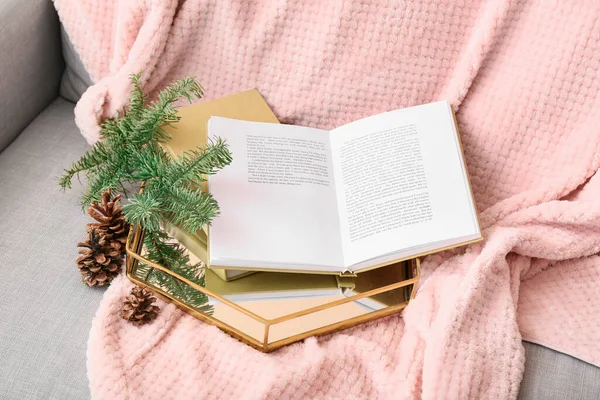 Tray Books Fir Tree Branch Pine Cones Sofa — Stock Photo, Image