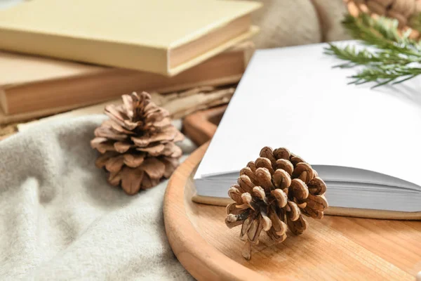 Opened Book Pine Cones Soft Plaid Closeup — Stock Photo, Image