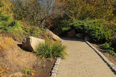 Güzel milli parktaki patika