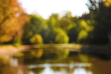 Güz parkındaki güzel gölün bulanık manzarası