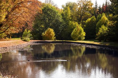 Sonbahar parkındaki güzel göl manzarası