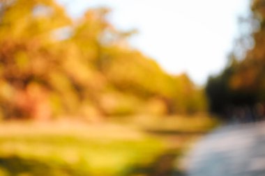 Parktaki sonbahar ağaçlarının bulanık görüntüsü