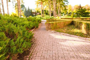 Patikalı güzel sonbahar parkı manzarası