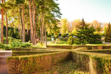 Çitleri olan güzel sonbahar parkı manzarası