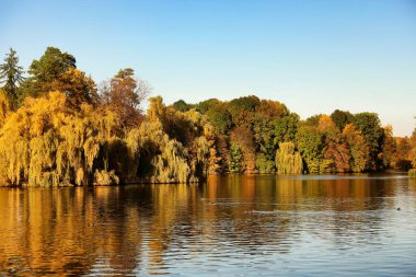 Sonbahar parkındaki güzel göl manzarası