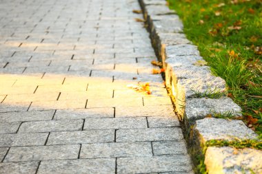 Parkta sonbahar yapraklı taş patika