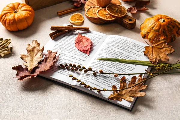 Autumn Decor Book Light Background — Stock Photo, Image