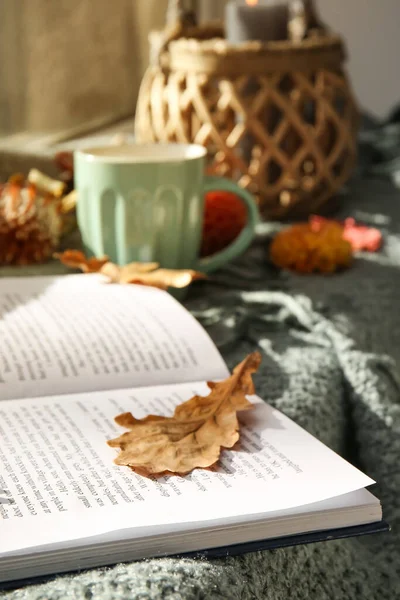 Kniha Podzimní Dekor Kostce Detailní Záběr — Stock fotografie