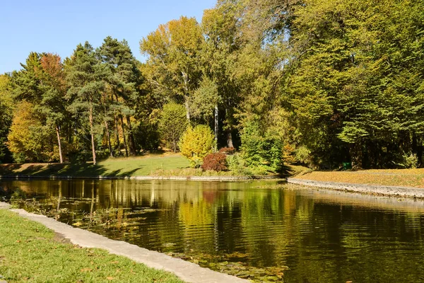 View Beautiful Pond Trees Autumn Park — Stock Photo, Image