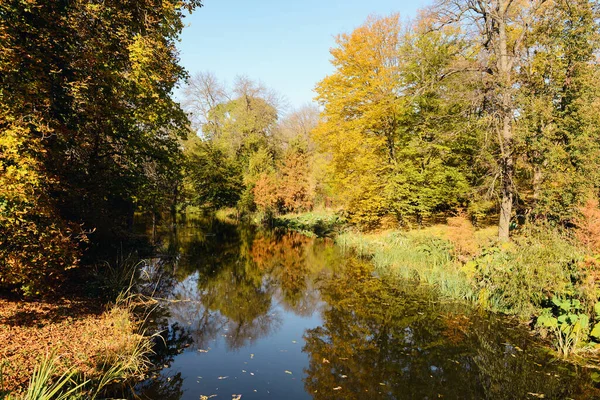 Schöne Aussicht Auf Den See Herbstpark — Stockfoto