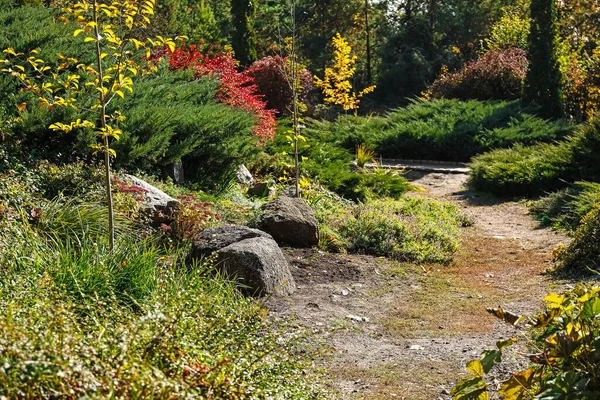 아름다운 공원의 파노라마 — 스톡 사진
