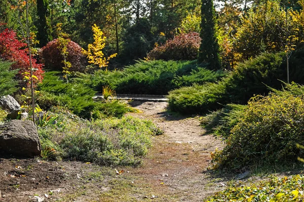 Panorama Beautiful Autumn Park — Stock Photo, Image