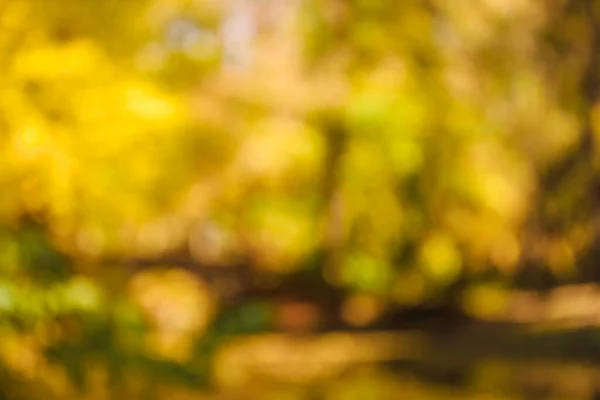 Blurred View Autumn Trees Lake Bridge Park — Stock Photo, Image