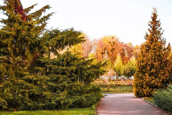 View Beautiful Autumn Park Pathway — Stock Photo, Image
