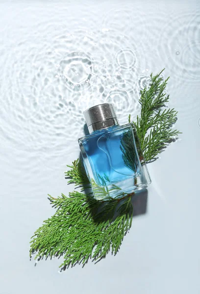 浅色背景的水壶香水和针叶树枝条 — 图库照片