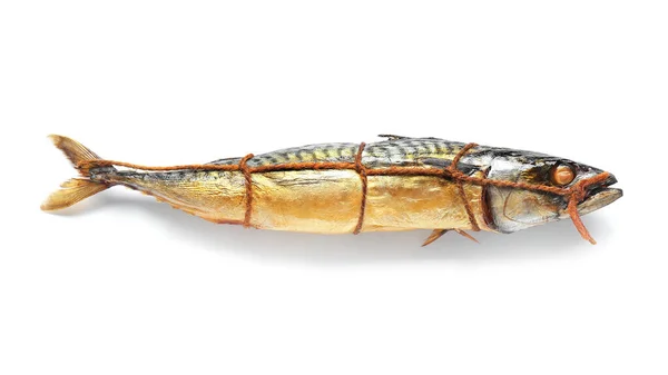 Копчена Макрель Риба Білому Тлі — стокове фото
