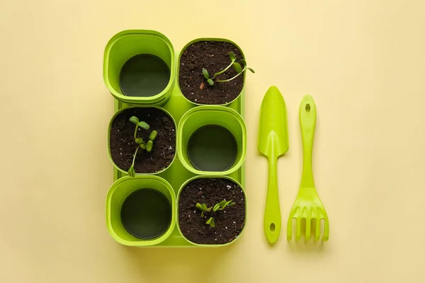 Macetas Con Plántulas Herramientas Jardinería Sobre Fondo Color — Foto de Stock