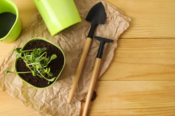 Flower Pots Gardening Tools Wooden Background Closeup — Stock Photo, Image