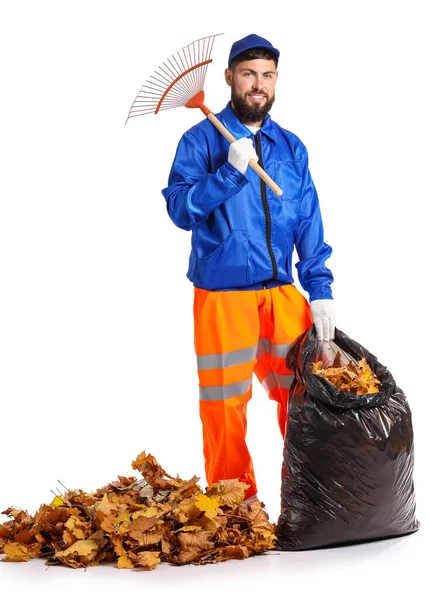 Trabalhador Recolhendo Folhas Outono Fundo Branco — Fotografia de Stock