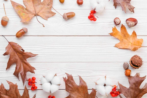 Frame Made Cotton Flowers Beautiful Autumn Decor White Wooden Background — Stock Photo, Image