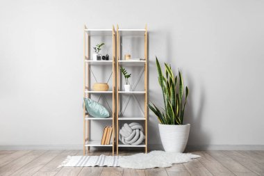 Dekorlu raf ünitesi ve ışık duvarının yanındaki ev bitkisi.