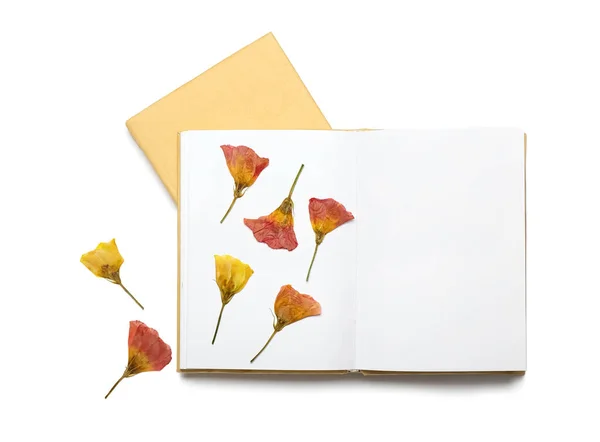 Dried Pressed Flowers Books White Background — Stock Photo, Image