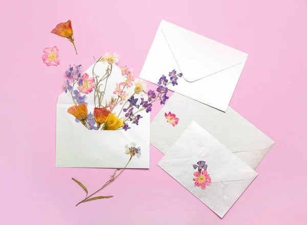 Enveloppen Met Gedroogde Geperste Bloemen Roze Achtergrond — Stockfoto