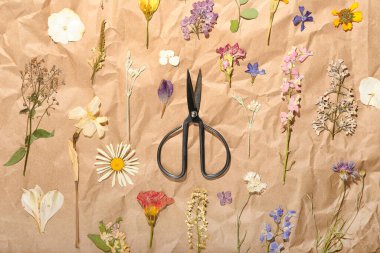 Kağıt üzerinde kurutulmuş çiçek ve makas kompozisyonu