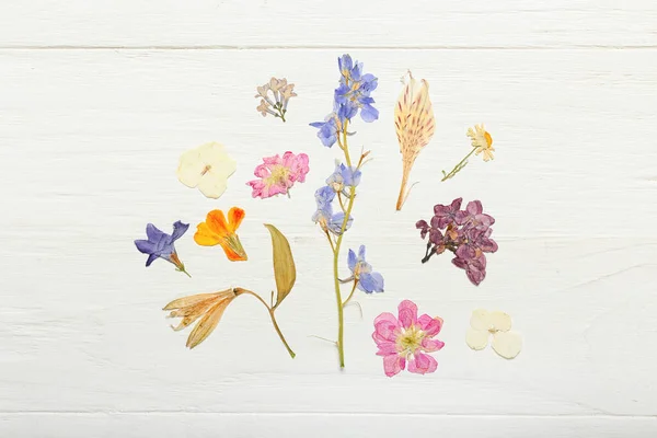 Beyaz Ahşap Zemin Üzerinde Kurumuş Basılmış Çiçeklerle Kompozisyon — Stok fotoğraf