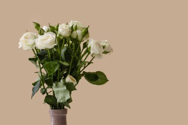 Vazo dolusu güzel güller bej arka planda, yakın plan