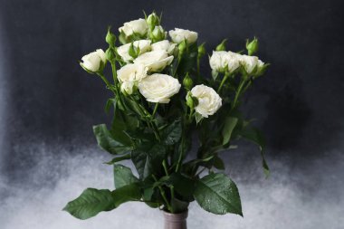 Siyah ve beyaz arka planda güzel taze güllerle dolu vazo, yakın plan.