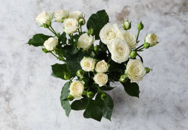 Açık arkaplanda bir buket güzel taze gül