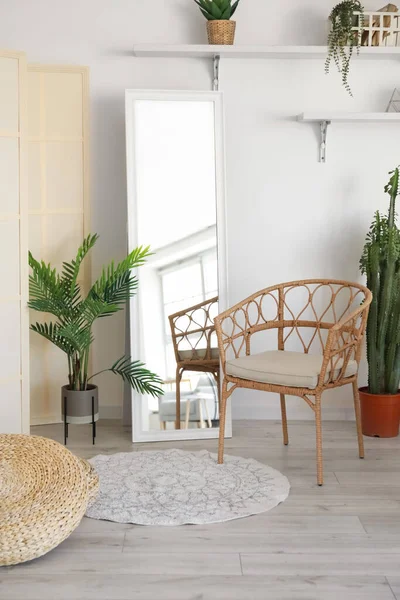 Wicker Chair Mirror Houseplants Light Wall — Stock Photo, Image