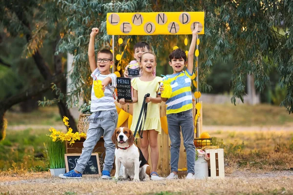 Cute Children Selling Lemonade Park — Stock Photo, Image