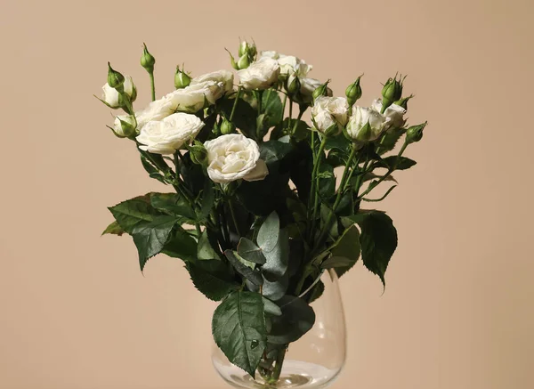 Vase Bouquet Beautiful Fresh Roses Beige Background Closeup — Stock Photo, Image