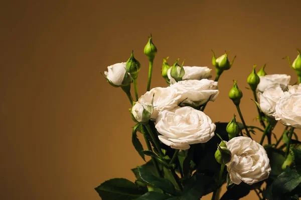 Bouquet Beautiful Fresh Roses Brown Background Closeup — Stock Photo, Image